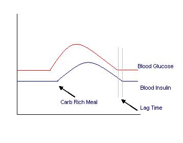 insulin response