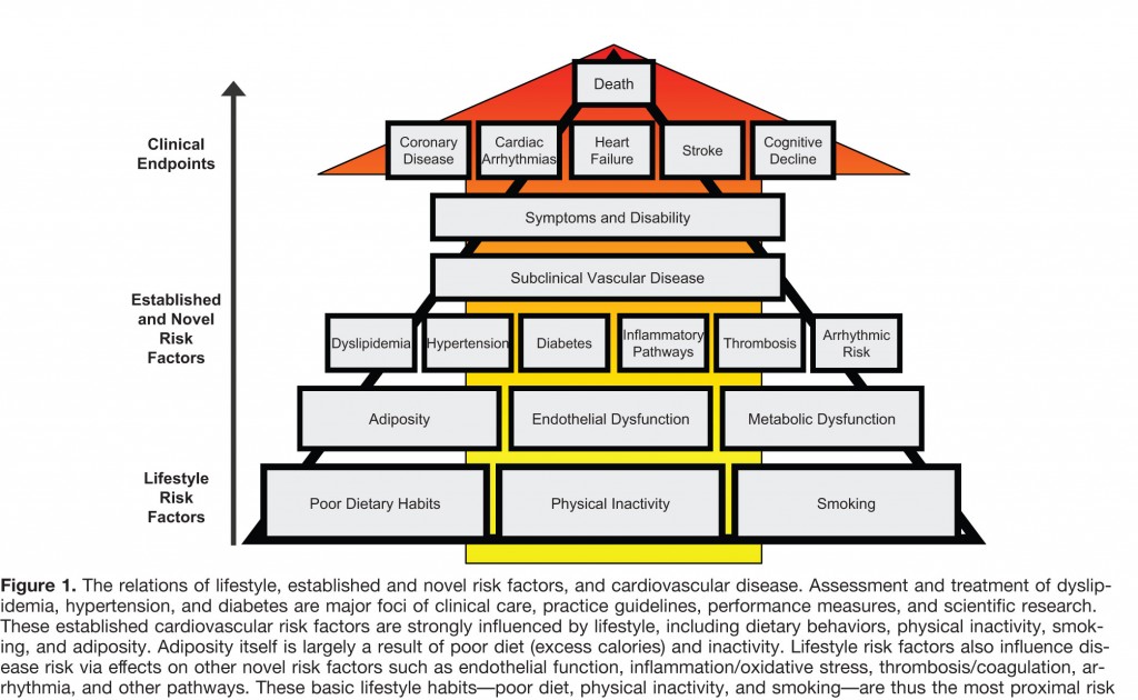 Inflammation CV