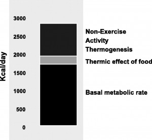 Source: Levine JA. Nonexercise activity thermogenesis (NEAT): environment and biology. Am J Physiol-Endoc M, 2004; 28:E675-E685.